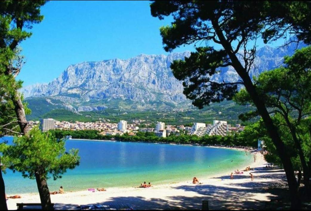 Ivan * Makarska